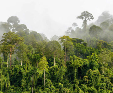 Building a Better Future for the <strong>Planet</strong>