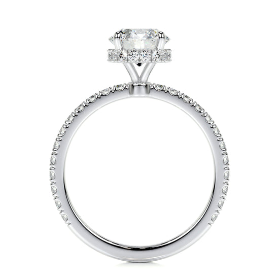 1.0 CT Round Hidden Halo CVD D/VS2 Diamond Engagement Ring 5