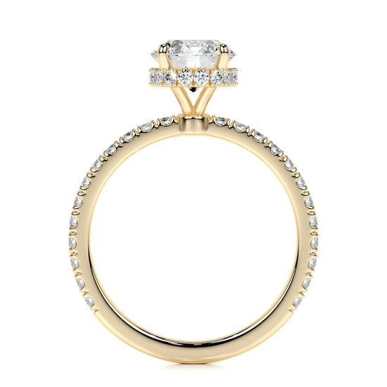 1.0 CT Round Hidden Halo CVD D/VS2 Diamond Engagement Ring 14